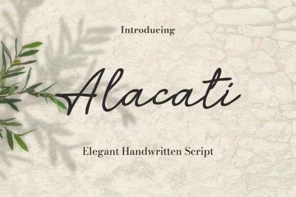 Alacati Font: A Handwritten Script for Warm Branding