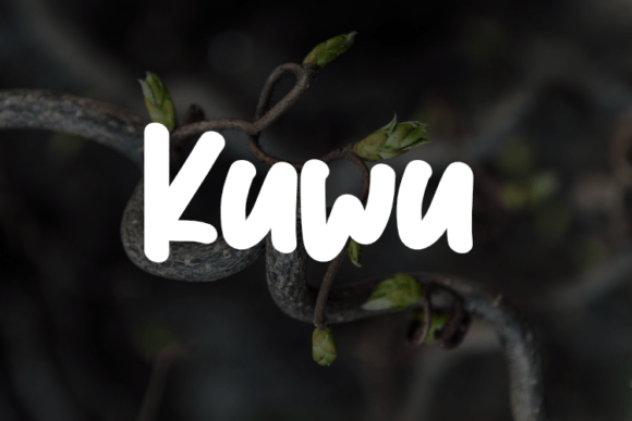 Kuwu in Practice: A Designer's Honest Impression