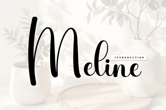 Meline Script Font: A Marketer’s Honest Review