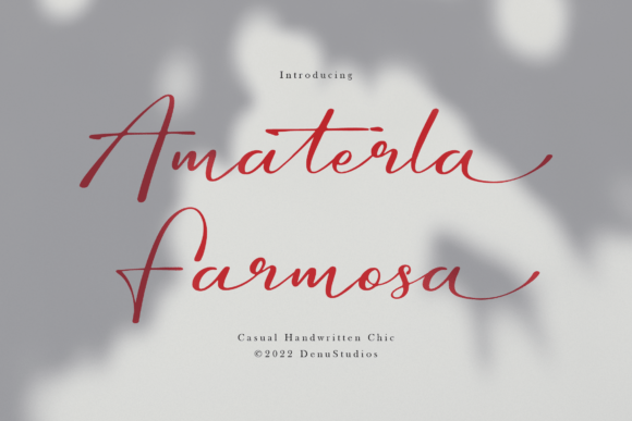 My Hands-On Review of Amaterla Farmosa Font for Real Branding Work